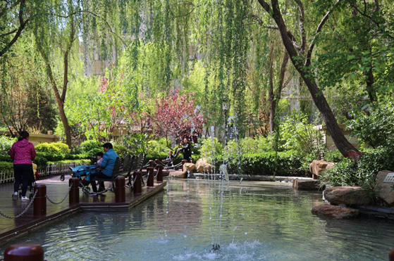 新葡的京集团35222vip集团