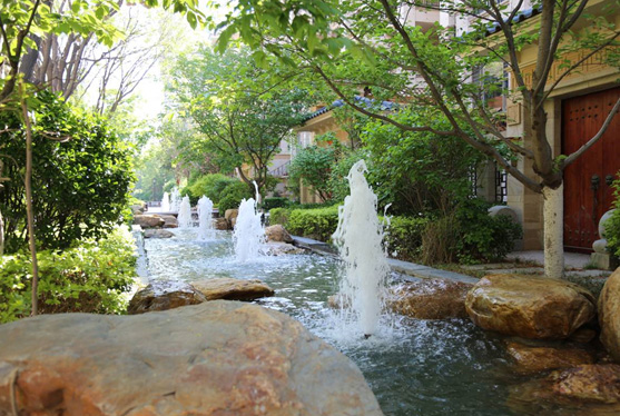 新葡的京集团35222vip集团