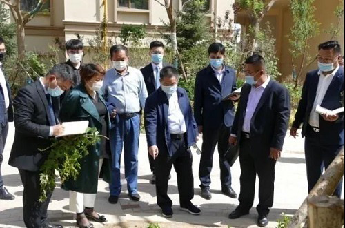 新葡的京集团35222vip集团