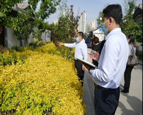 新葡的京集团35222vip集团